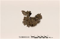 藏品(網梅衣)的圖片